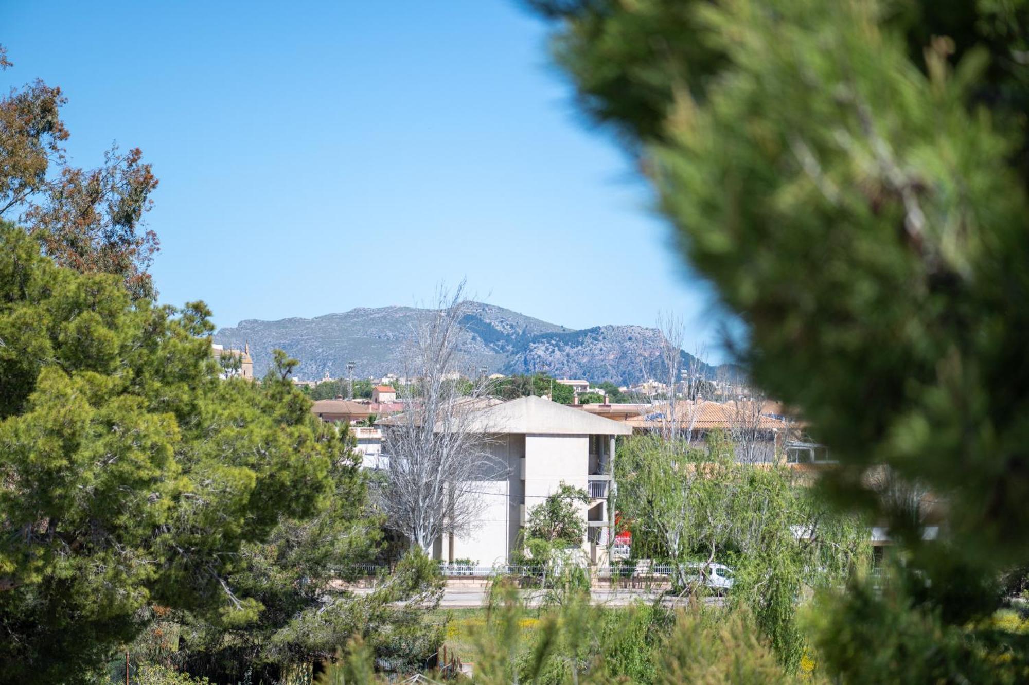 Apartamento Minerva Alcudia  Luaran gambar